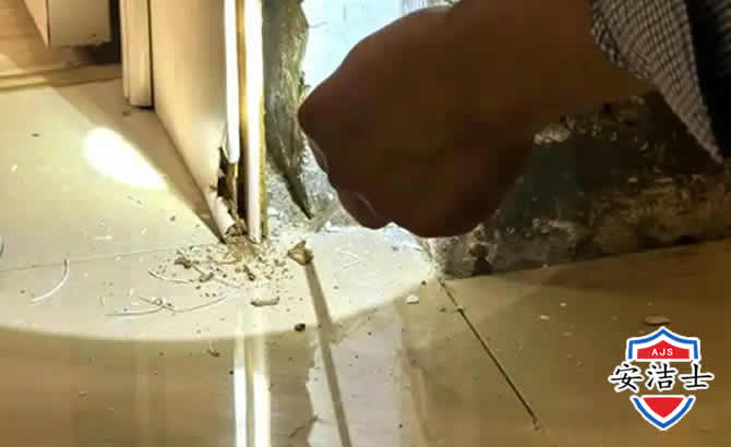 普陀区房屋建筑防治白蚁