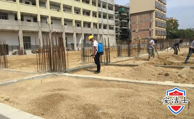 普陀区学校机关防治白蚁