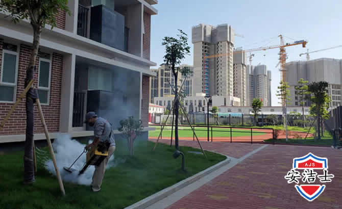 普陀区工厂工地除白蚁