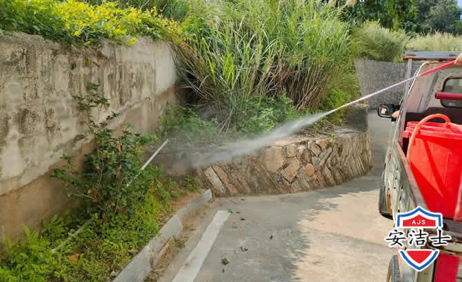 普陀区道路堤坝白蚁防治