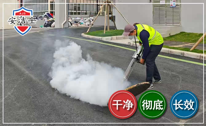 普陀区消杀防疫现场