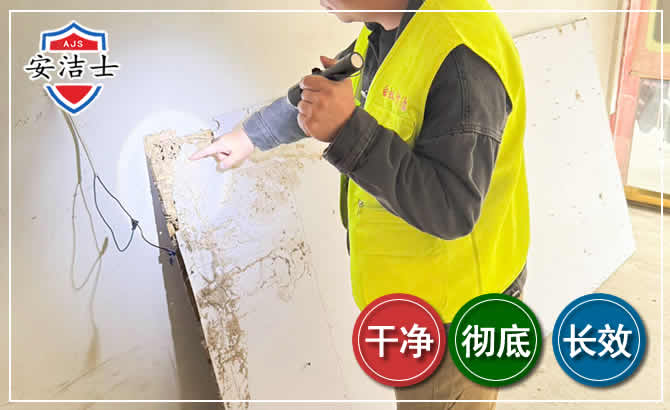 普陀区除白蚁现场