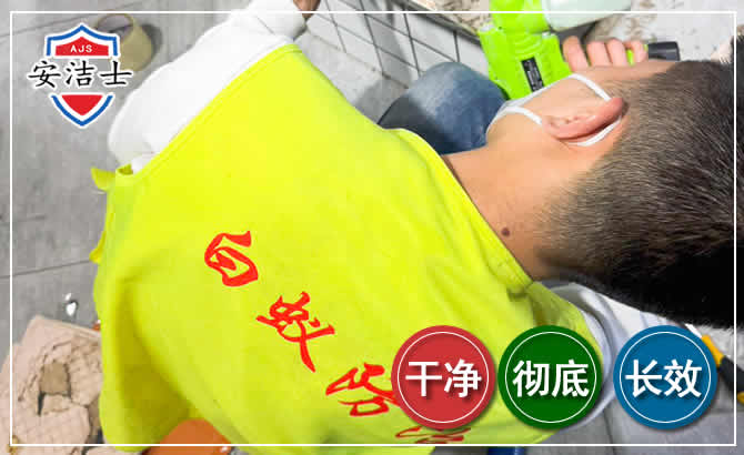 普陀区白蚁根治现场